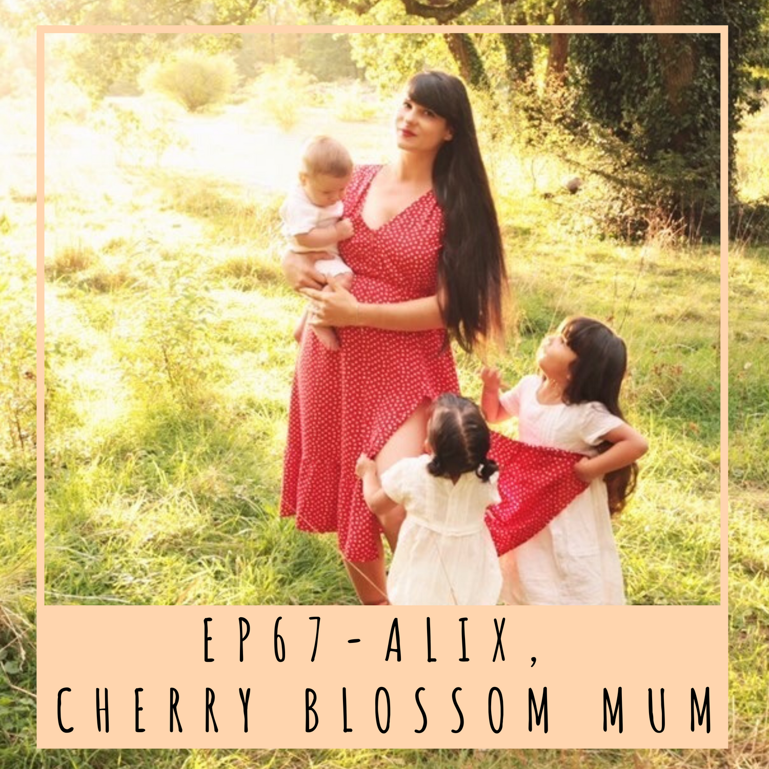 alix-cherry-blossom-mum